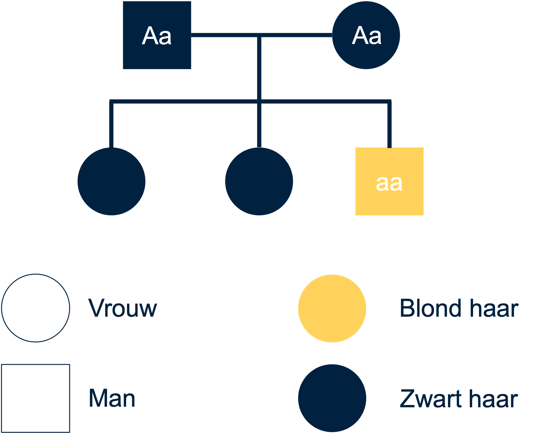 Stamboom van twee ouders met hetzelfde fenotype die een kind krijgen met een ander fenotype 