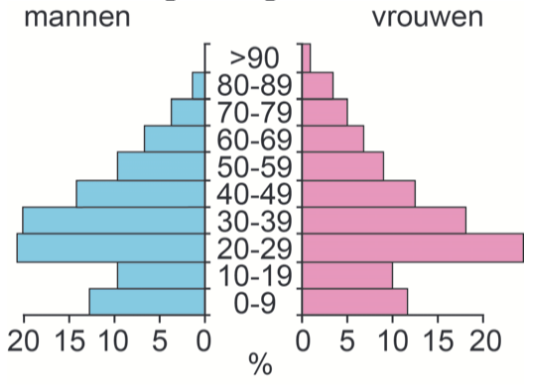 bevolkingsdiagram 1