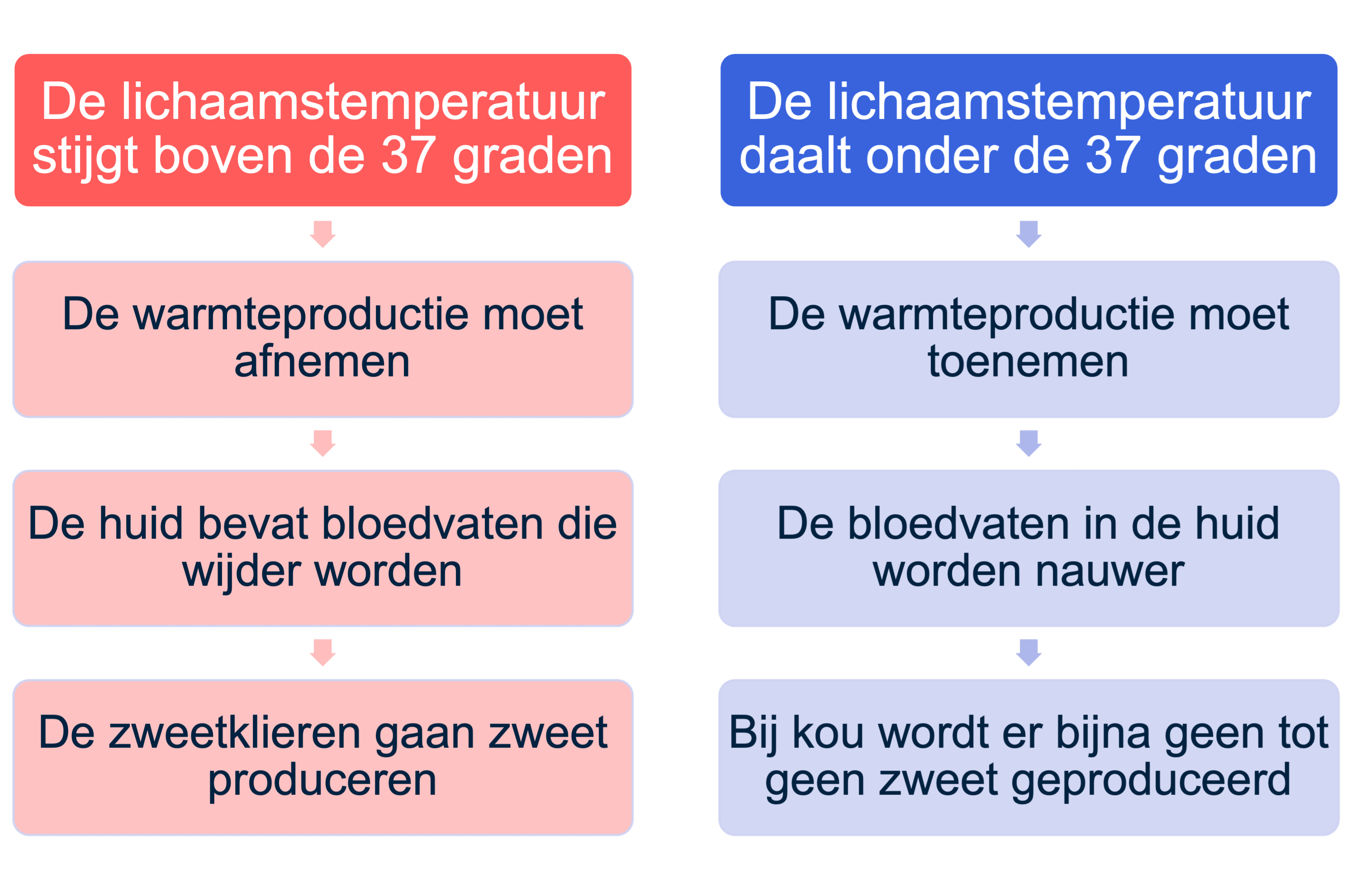 Kort overzicht van hoe het lichaam reageert op een te koude en te warme lichaamstemperatuur.