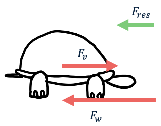 Afbeelding van een schildpad die vertraagt, met een kleinere Fv-pijl, een grotere Fw-pijl, en een Fres-pijl tegengesteld aan de beweging.