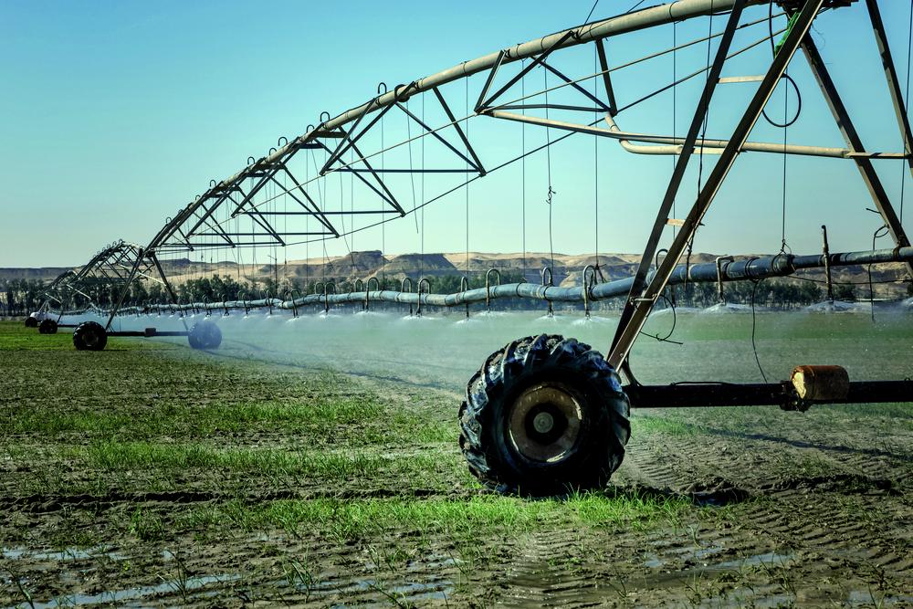 Landbouw in de woestijn in Saudi-Arabië