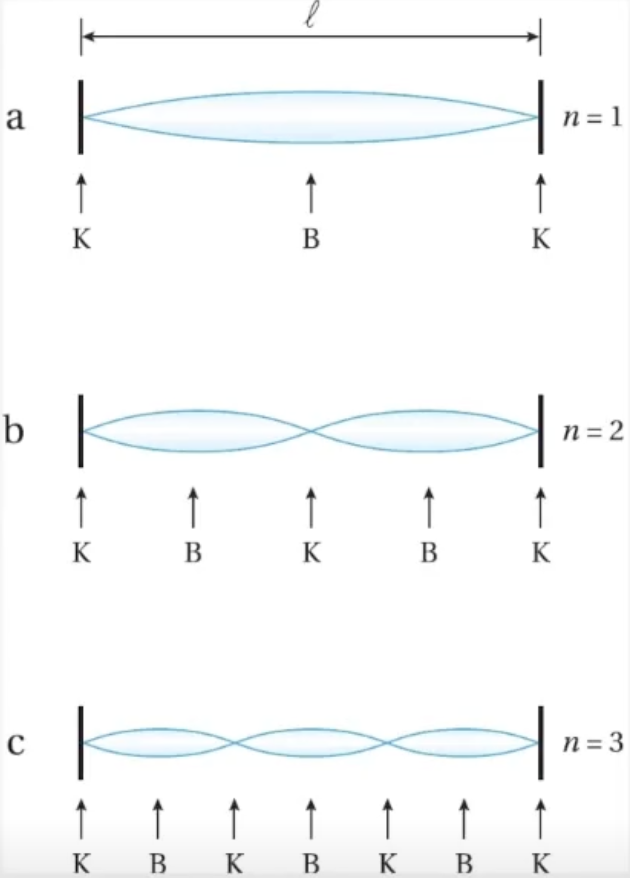 Knopen en buiken bij de grondtoon, eerste en tweede boventoon
