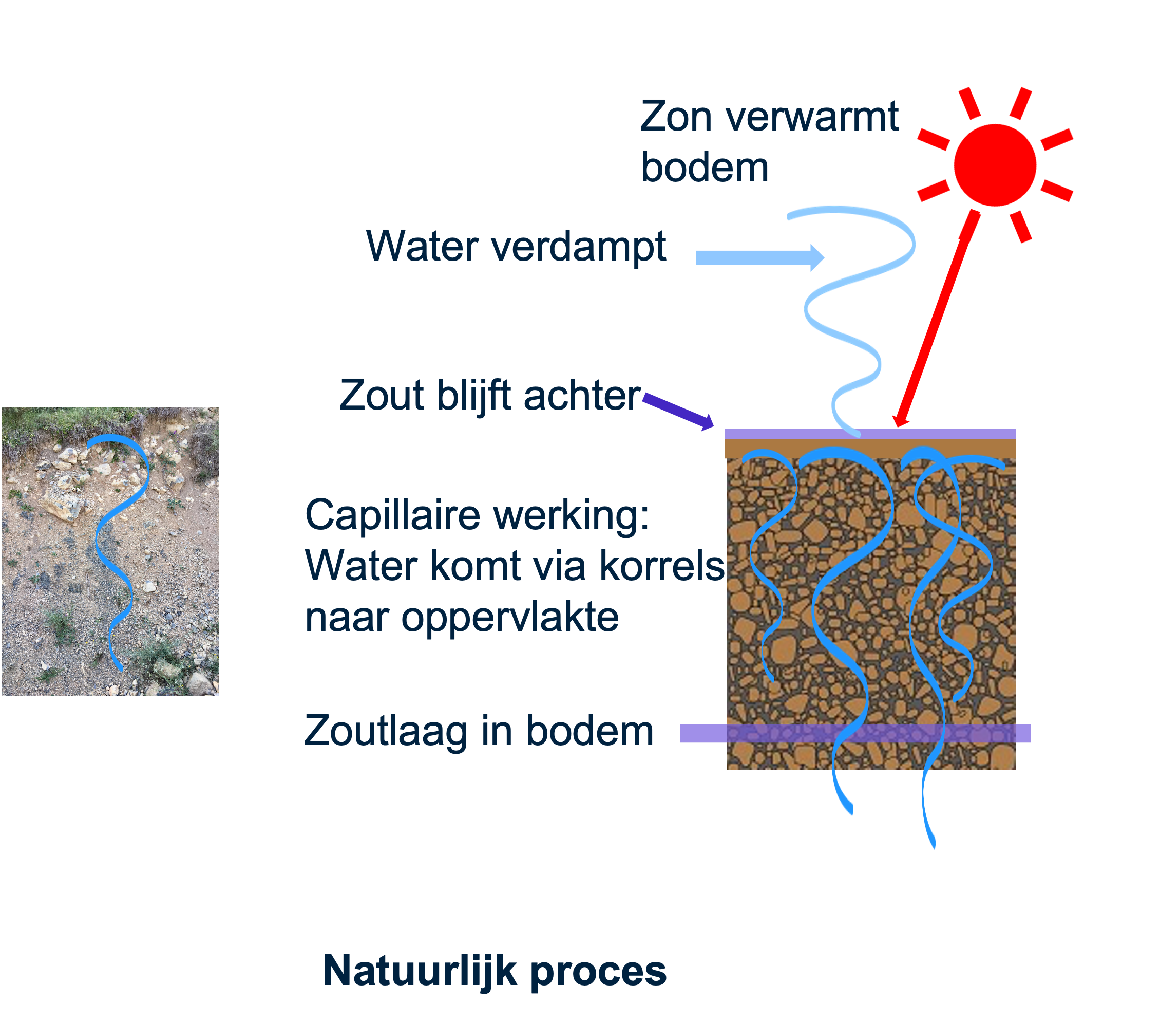 Het natuurlijke proces van verzilting 