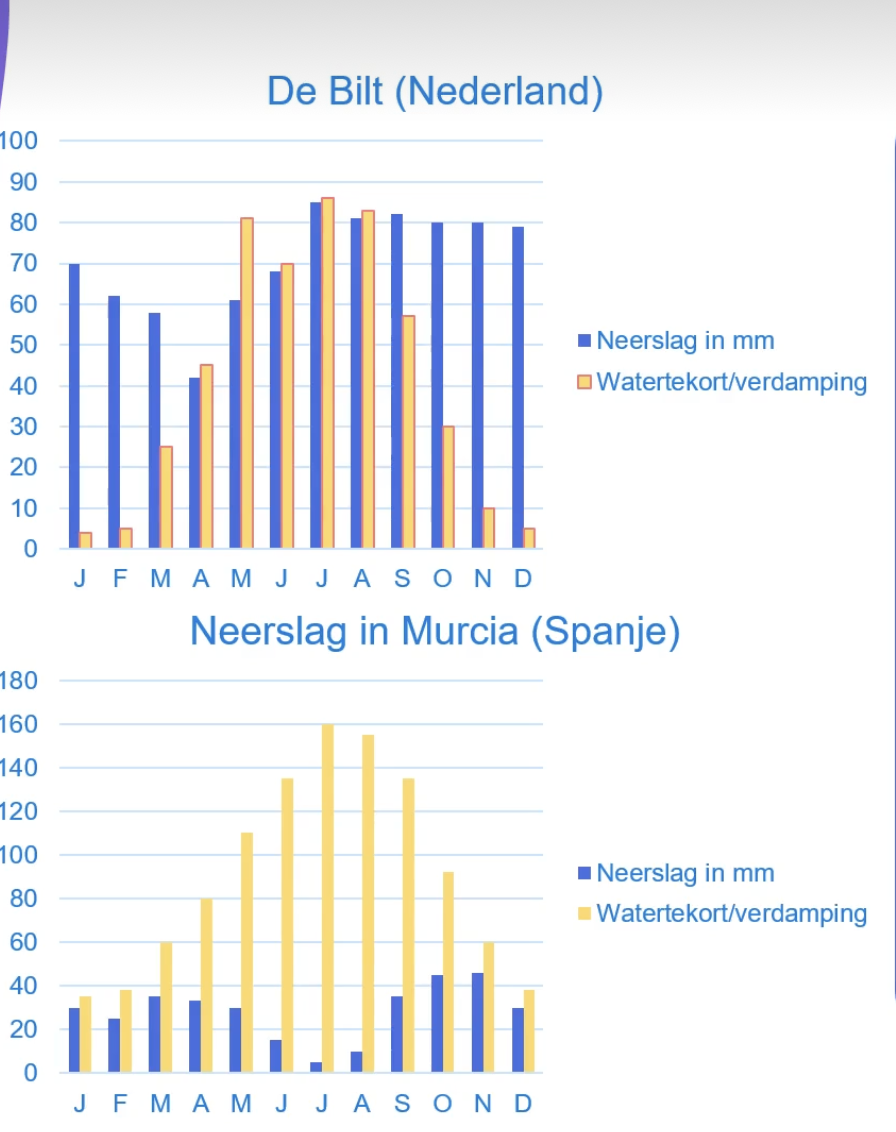 Twee grafieken die de maandelijkse neerslag (blauwe staven) en verdamping (gele staven) weergeven. De grafiek van Nederland toont veel neerslag en minder verdamping. De grafiek van Spanje toont minder neerslag en veel verdamping.