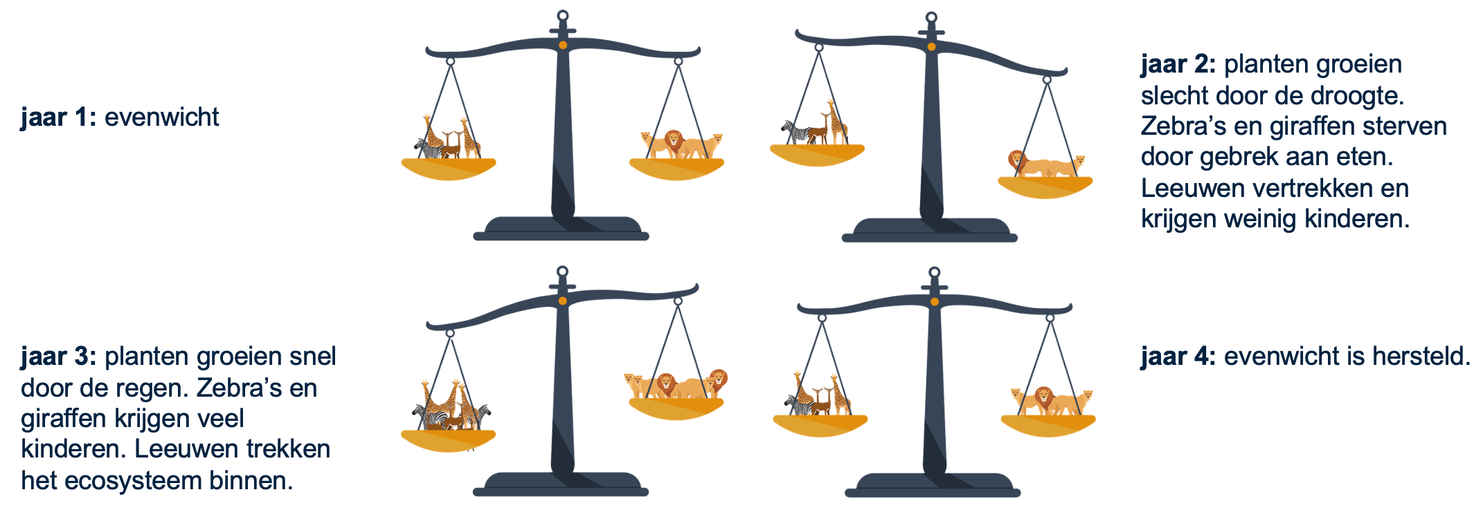 Figuur 3: voorbeeld biologisch evenwicht