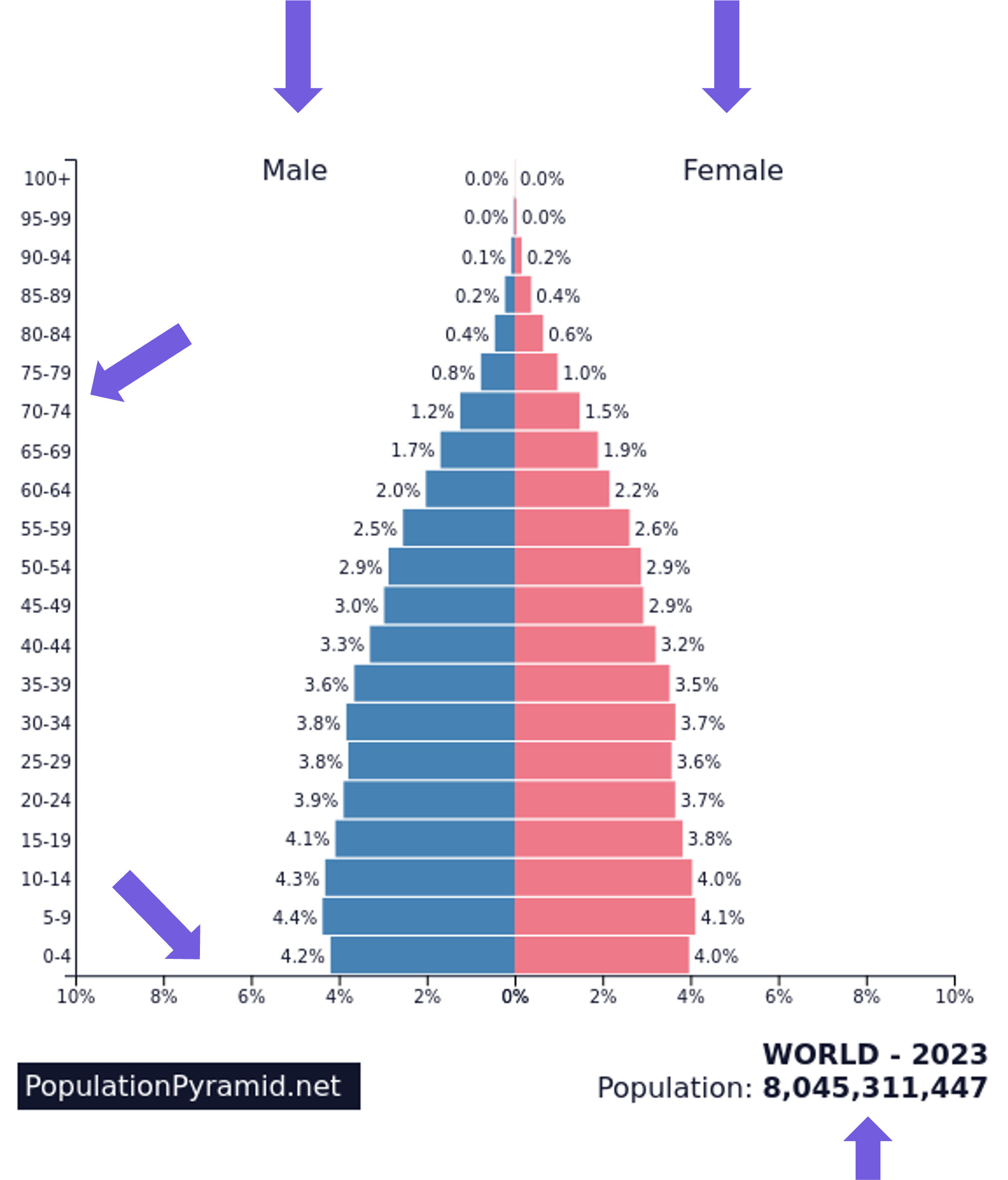Voorbeeld bevolkingsgrafiek