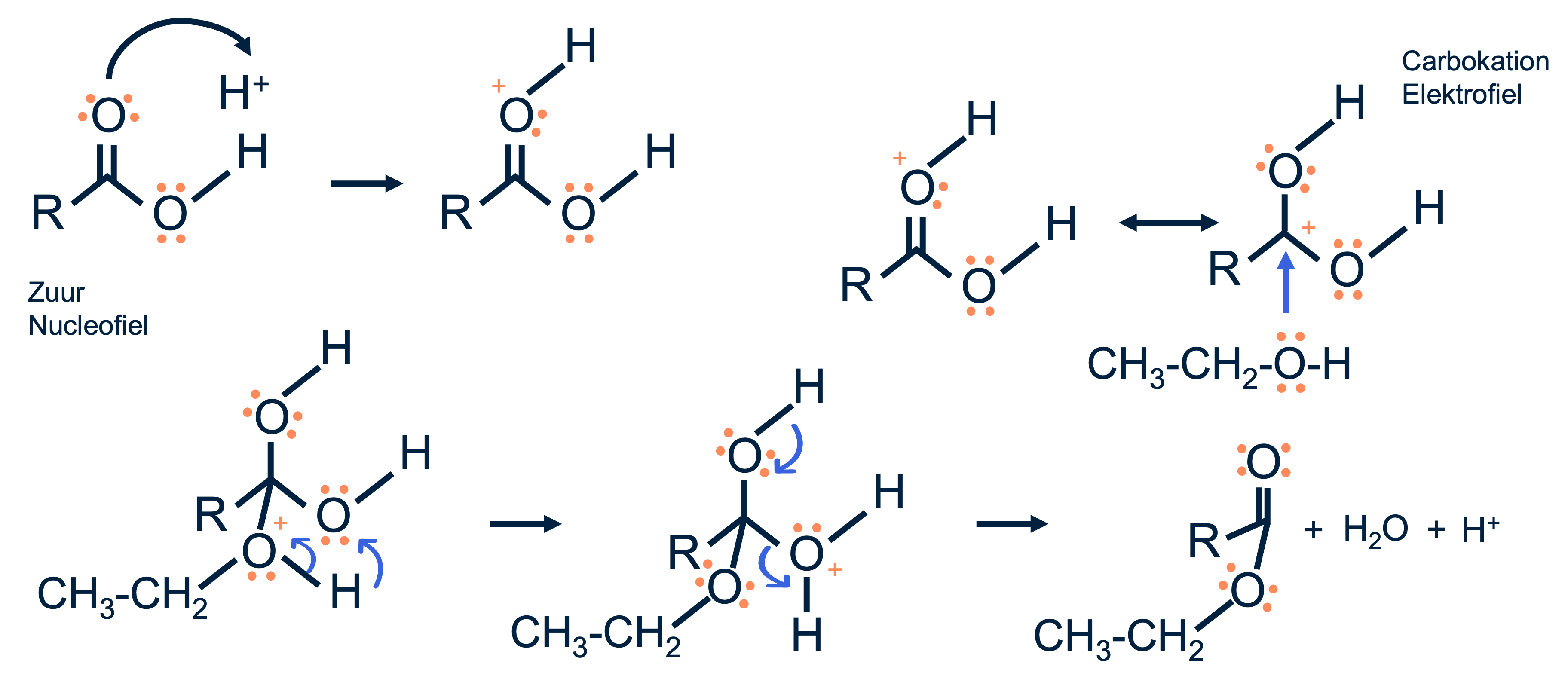 Overzicht van het reactiemechanisme van een condensatiereactie. 