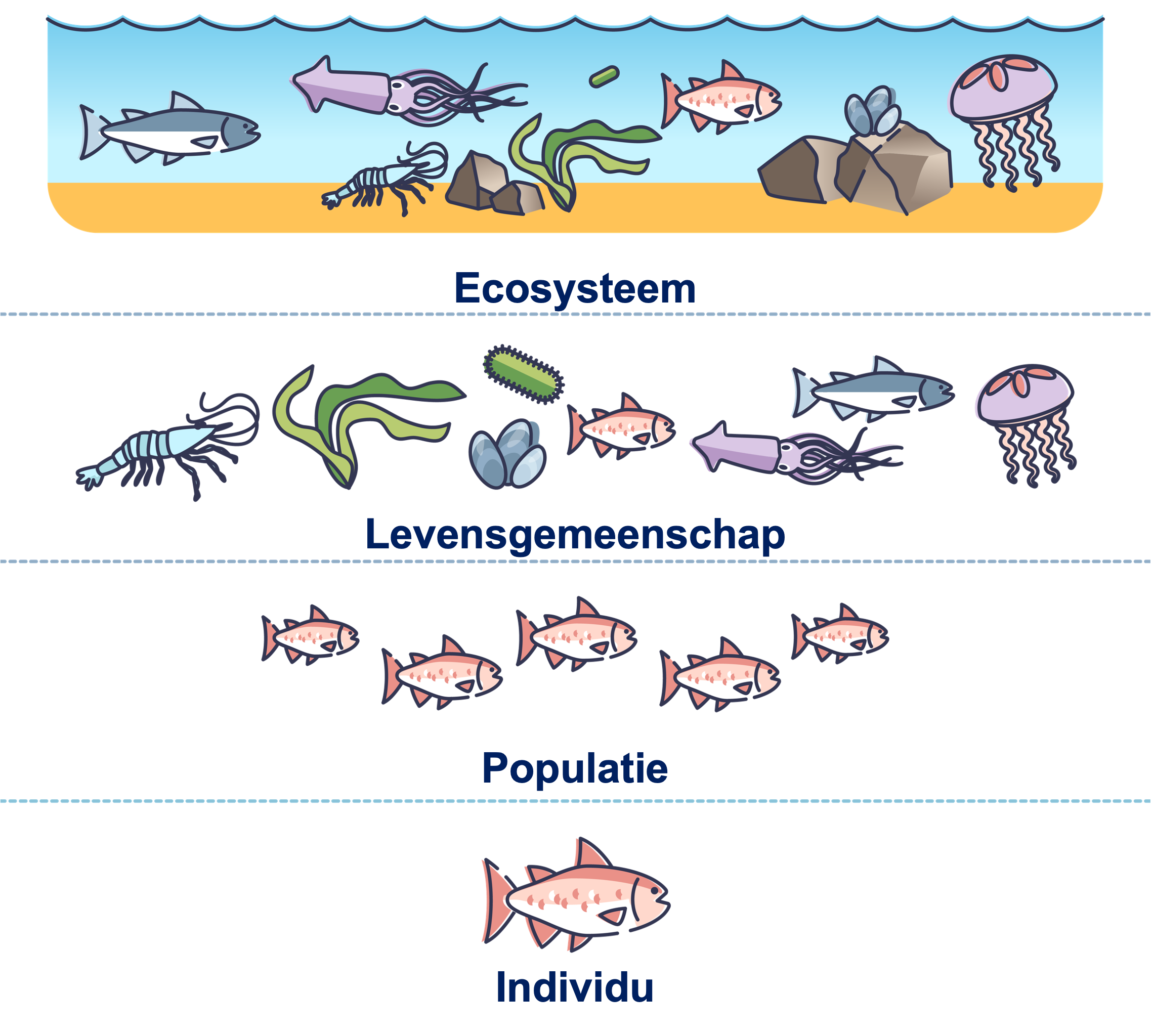 Niveaus in de ecologie