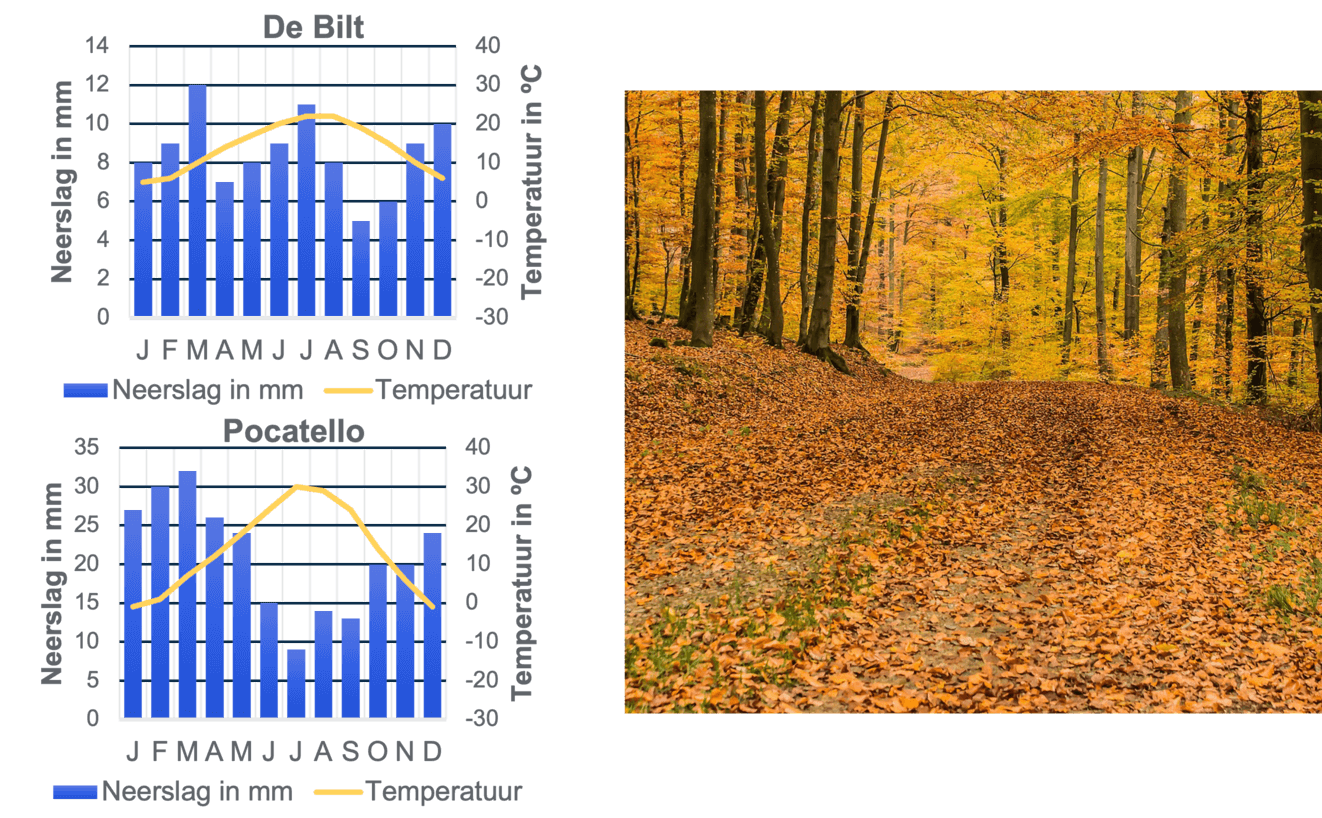 Voorbeelden van twee steden die zich bevinden in een gematigde zone. Daarnaast afgebeeld hoe zo'n zone eruit kan zien.