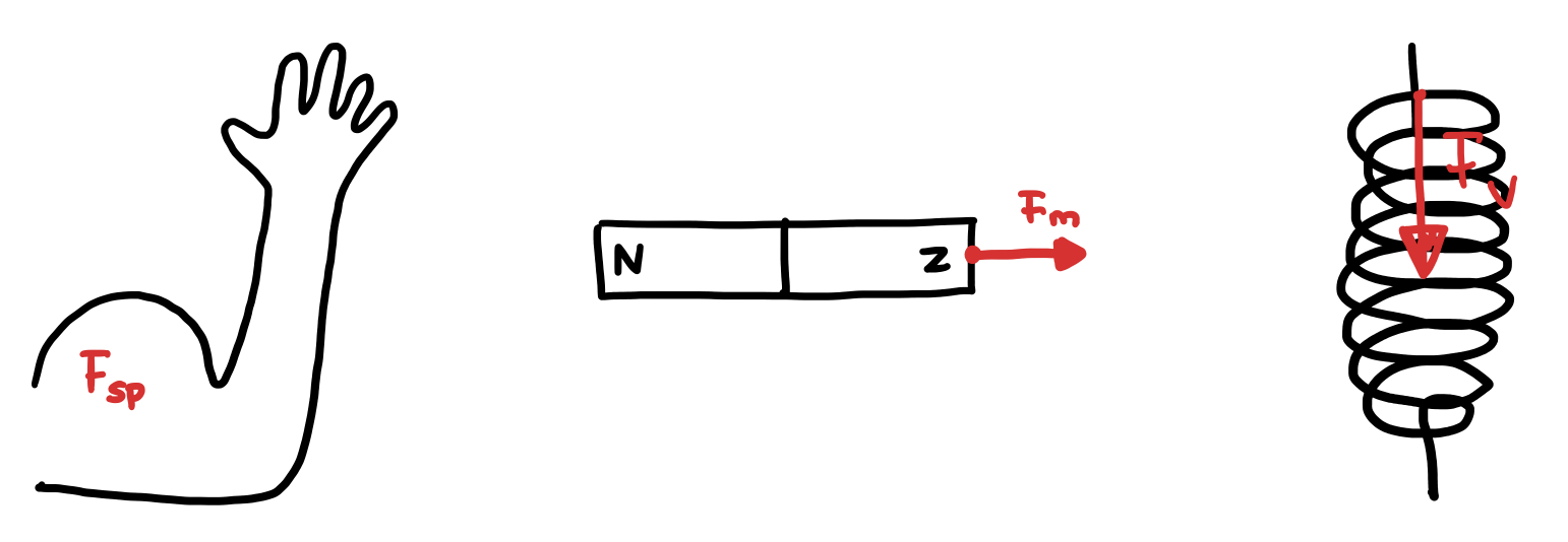 Voorbeelden van spier-, magneet- en veerkracht