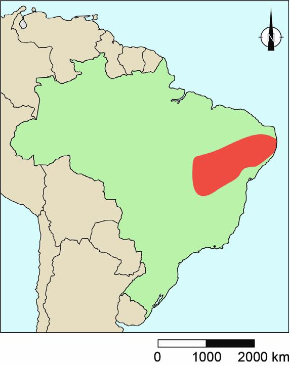 Leefgebied driebandgordeldier