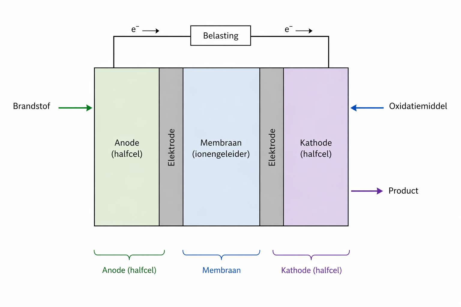 Schematische weergave van een brandstofcel met twee halfcellen, een membraan en elektroden