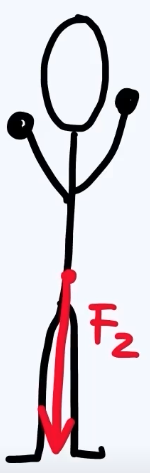 Zwaartekracht op een mens