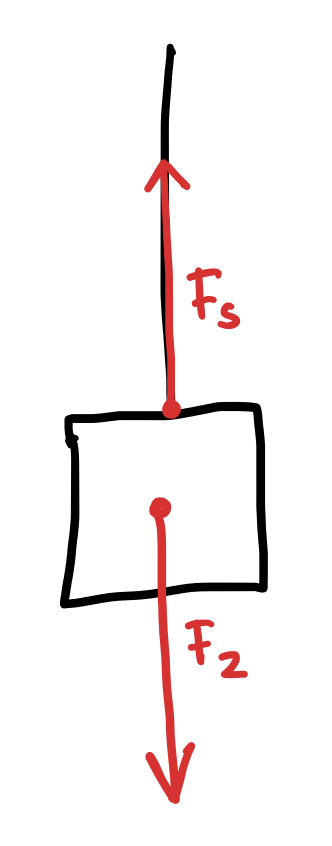 Spankracht en zwaartekracht in evenwicht