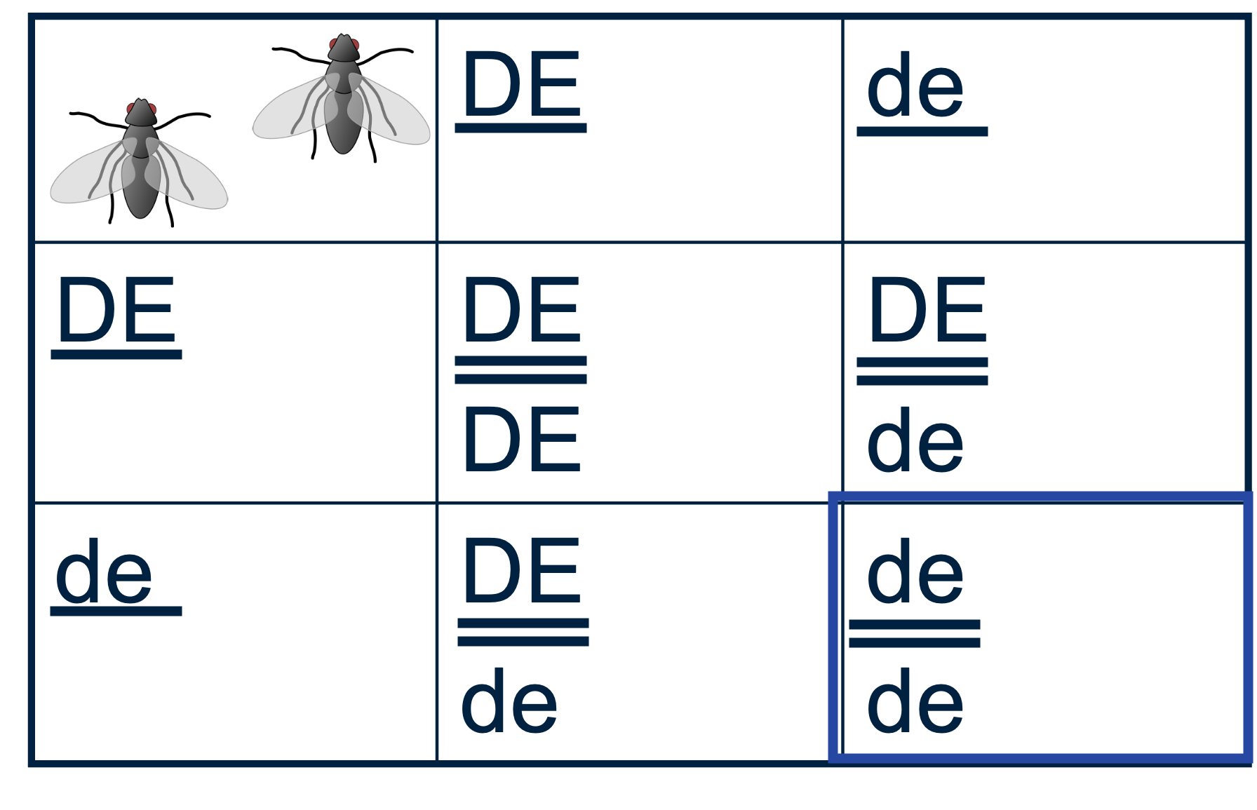 Het kruisingsschema bij bovenstaande kruising. In het blauw omringd is het enige genotype dat een verschil in fenotype t.o.v. de ouders zal geven.