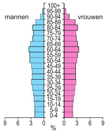 bevolkingsdiagram 2 