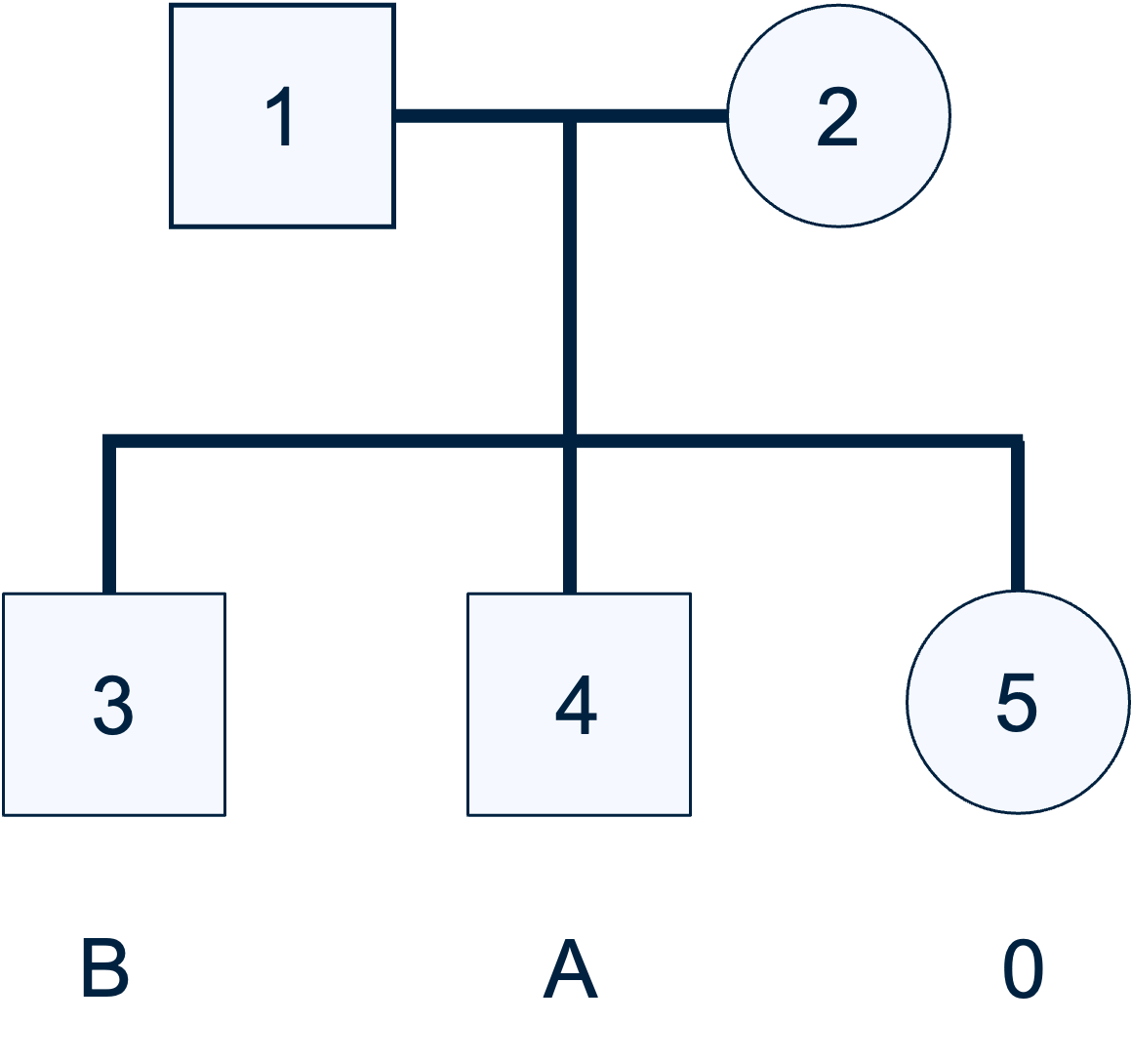 De stamboom bij de familie van de bovenstaande vraag. 