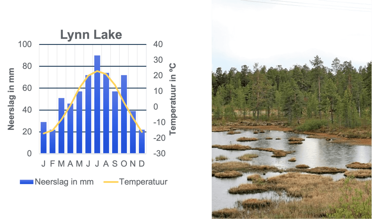 Voorbeeld van een stad die zich bevindt in een boreale zone. Daarnaast afgebeeld hoe zo'n zone eruit kan zien.