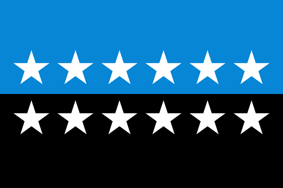 Vlag van de Europese Gemeenschap voor Kolen en Staal, https://commons.wikimedia.org/wiki/File:Flag_of_the_European_Coal_and_Steel_Community_12_Star_Version.svg