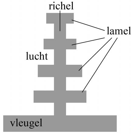 Figuur 2