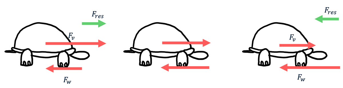 Drie afbeeldingen van een schildpad die de krachten illustreren bij een versnelde (links), eenparige (midden) en vertraagde (rechts) beweging.