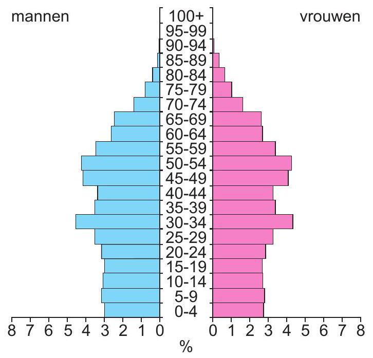 bevolkingsdiagram 2