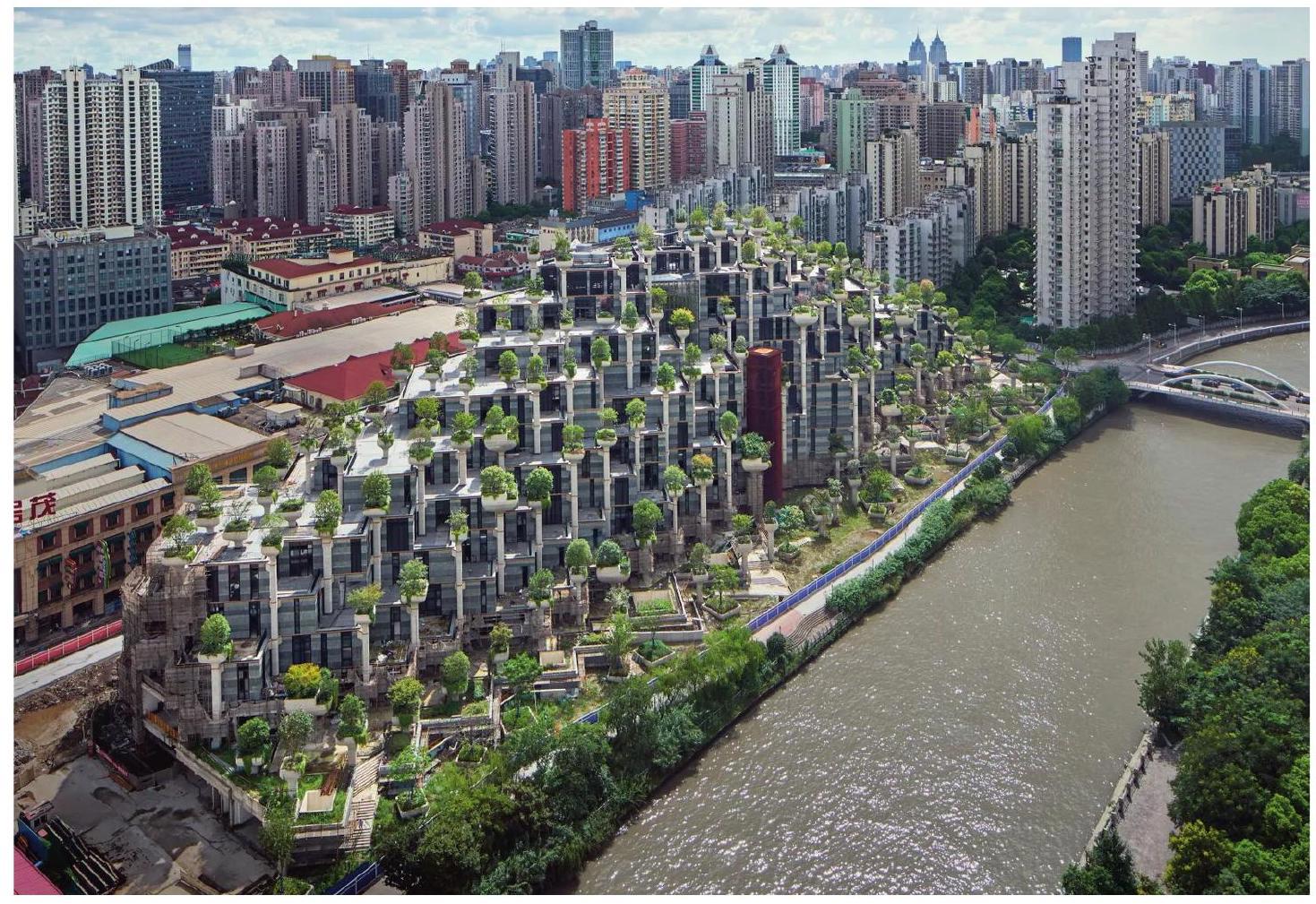 Het '1000-bomen'-project in Shanghai