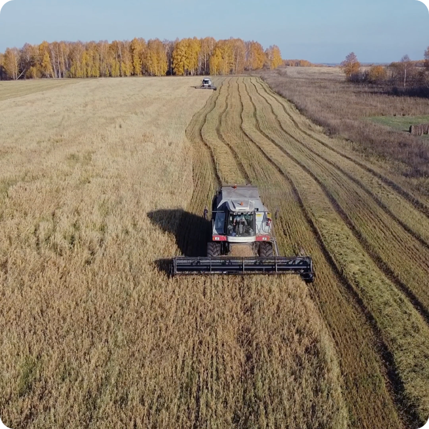 Afbeelding 11: sterk gemechaniseerde landbouw in D-klimaten. 