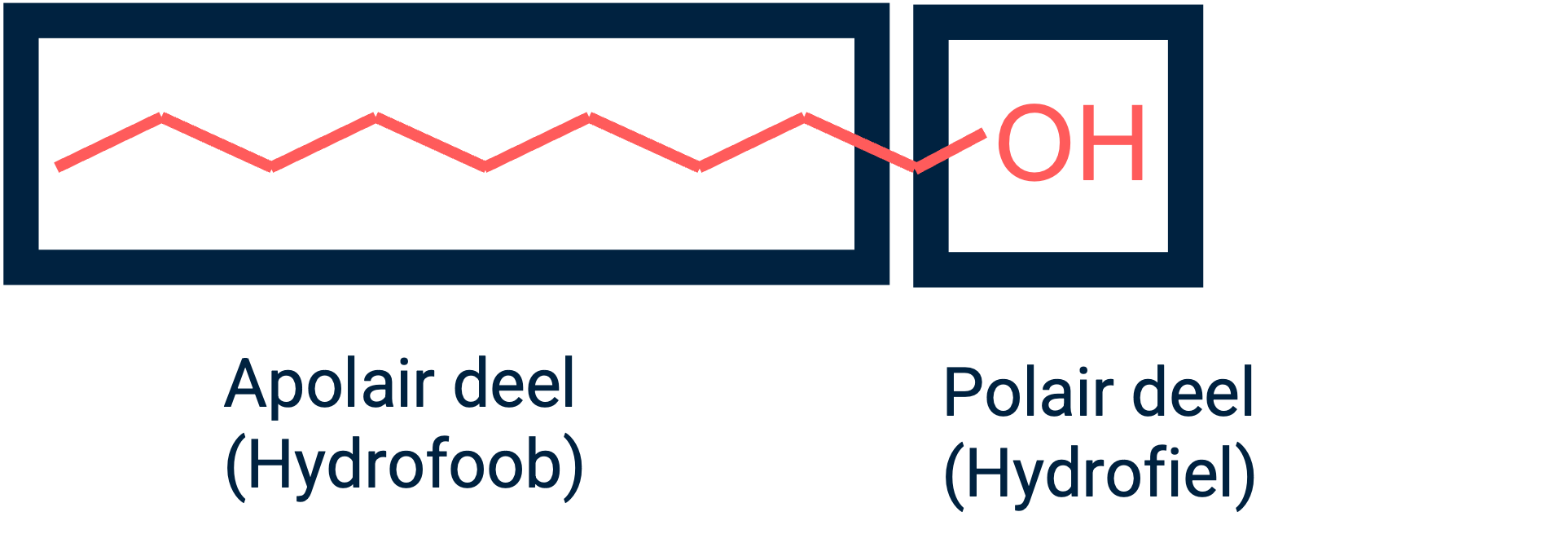 Pentaan-1-ol heeft een polair deel dat wel goed oplost in water.