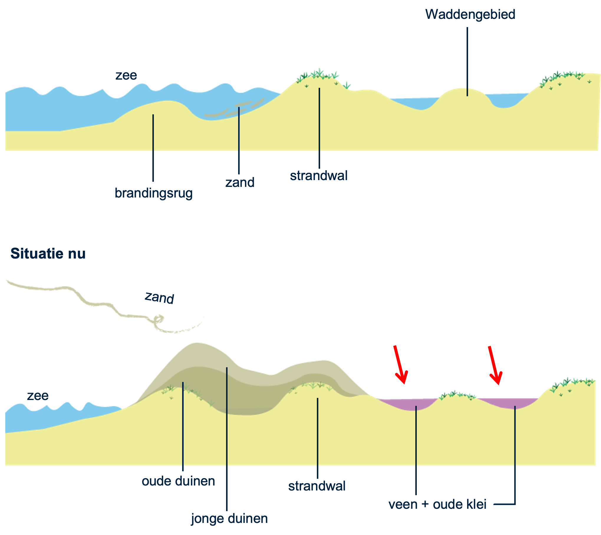 Ontstaan Nederlands kustgebied