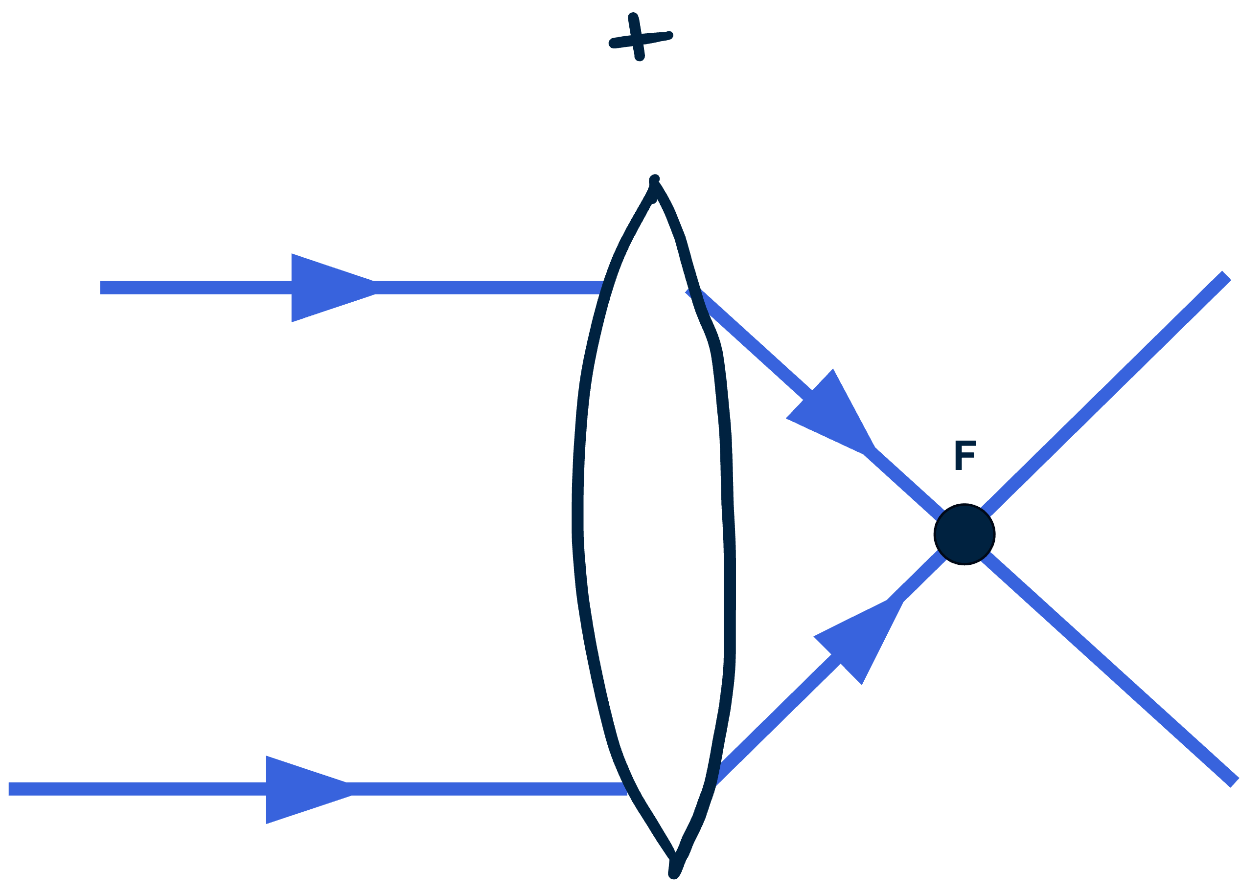 Positieve lens die de lichtstralen convergeert, waarbij de lichtstralen samen komen in het brandpunt (F).