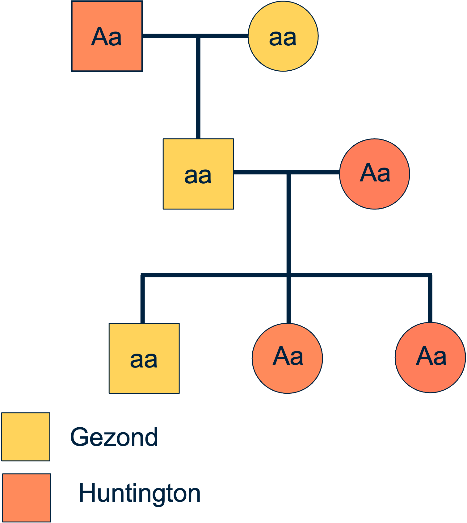 Een voorbeeld van een stamboom over de ziekte van Huntington. Hierin kan je zien dat de ziekte van Huntington dominant overerft.