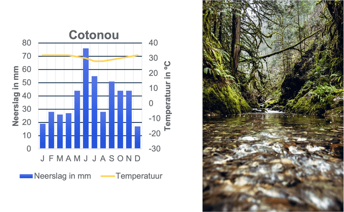 Voorbeeld van een stad die zich bevindt in een tropische zone. Daarnaast afgebeeld hoe zo'n zone eruit kan zien.
