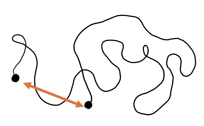 De zwarte lijn geeft de afgelegde afstand weer en de oranje pijl de verplaatsing.