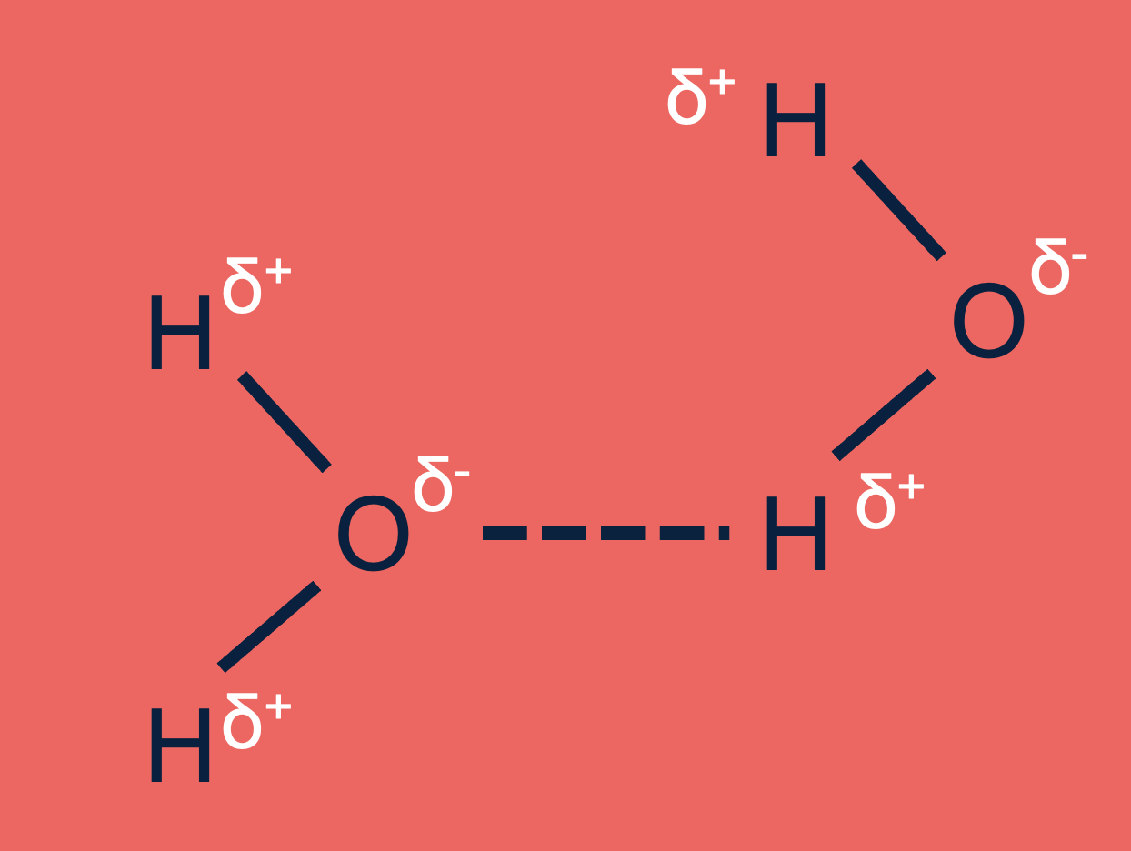 Een afgebeelde waterstofbrug tussen twee watermoleculen