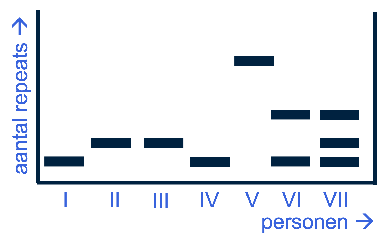 Voorbeeld van de uitkomsten van een gelelektroforese bij 7 personen.