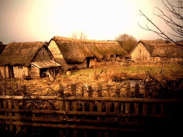 Hofstelsel, Leenstelsel, Feodale verhoudingen, leenman, leenheer, middeleeuwen