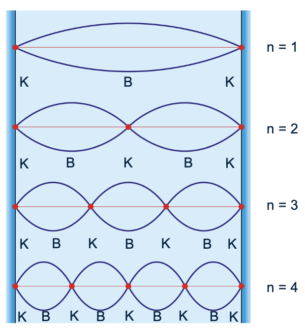 Vier diagrammen van een snaar die aan beide uiteinden is ingeklemd. De diagrammen tonen de staande golven voor de grondtoon (n=1), de eerste boventoon (n=2), de tweede boventoon (n=3) en de derde boventoon (n=4). Duidelijk aangeven waar de knopen en buiken zich bevinden, en labelen met n-waarden.