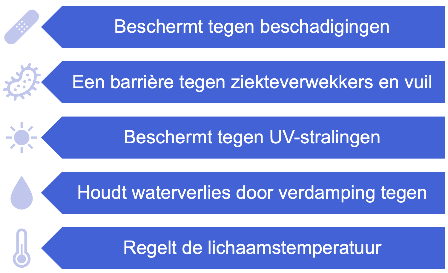 Overzicht van de functies van de huid.