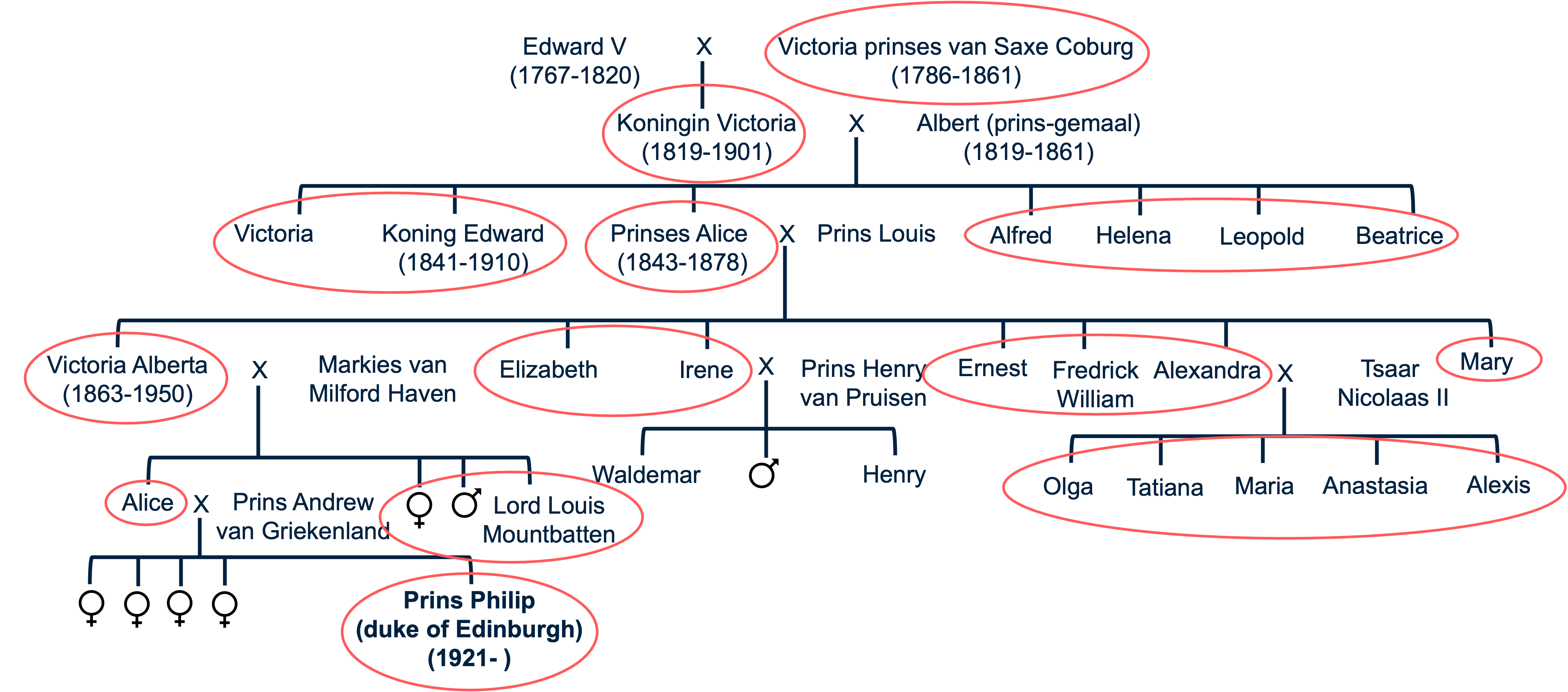 Een overzicht van de tsarenstamboom. Omcirkeld zijn alle familieleden van prins Philip die hetzelfde mtDNA hebben.