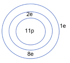 Atoommodel van Bohr voor natrium, met een kern met 11 protonen en 12 neutronen, omgeven door 2 elektronen in de eerste schil, 8 in de tweede schil en 1 elektron in de derde schil.