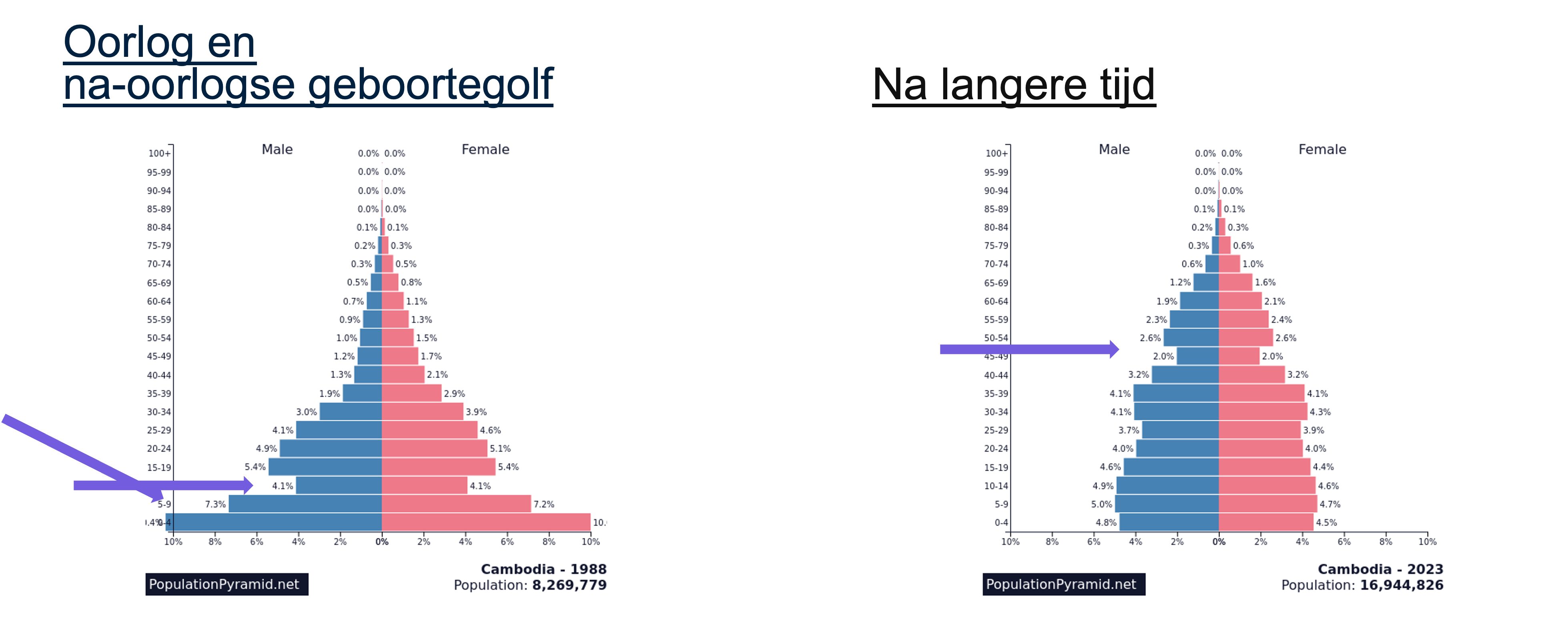 Afbeelding 5: bevolkingsgrafieken Cambodja