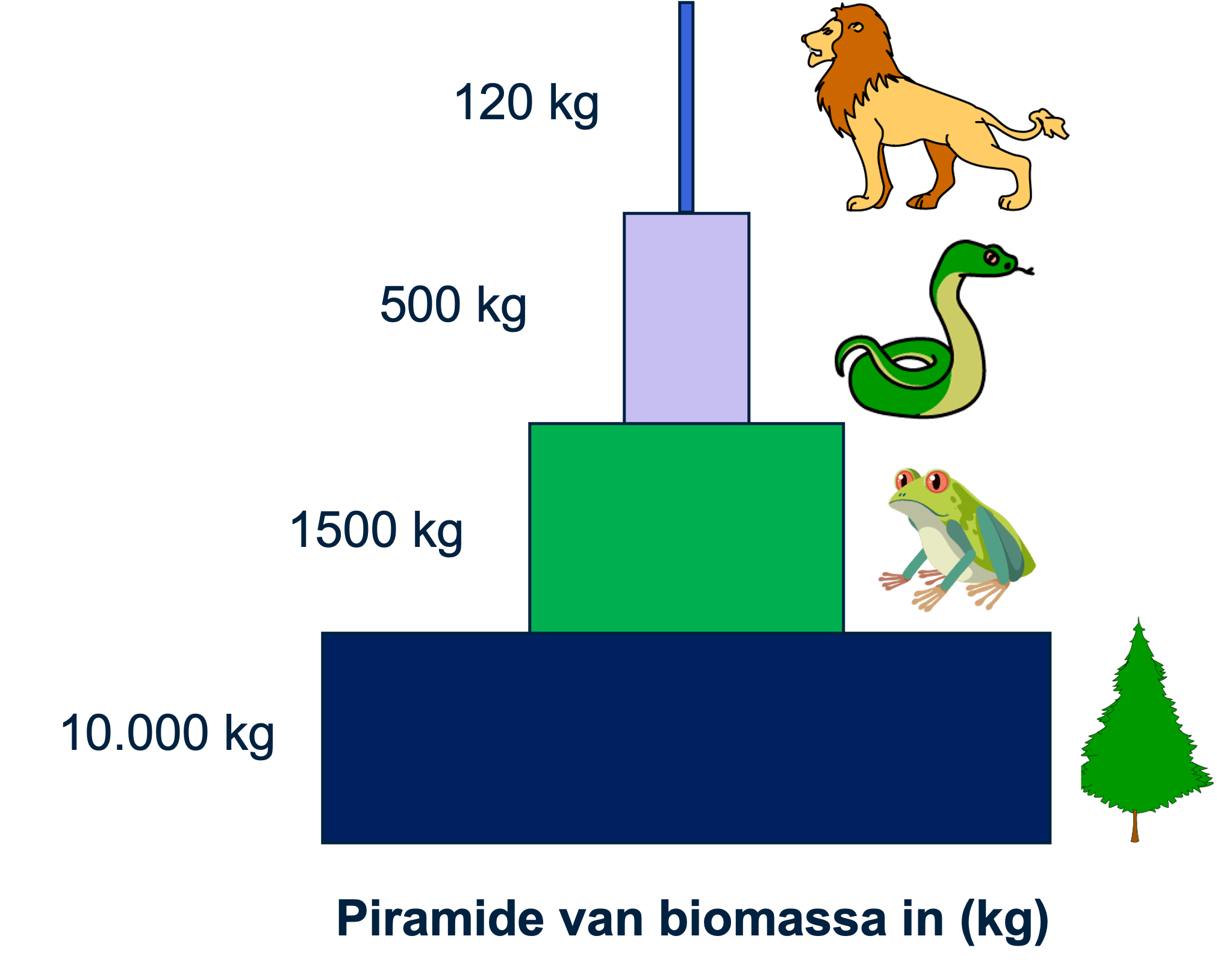 Piramide van biomassa in (kg)