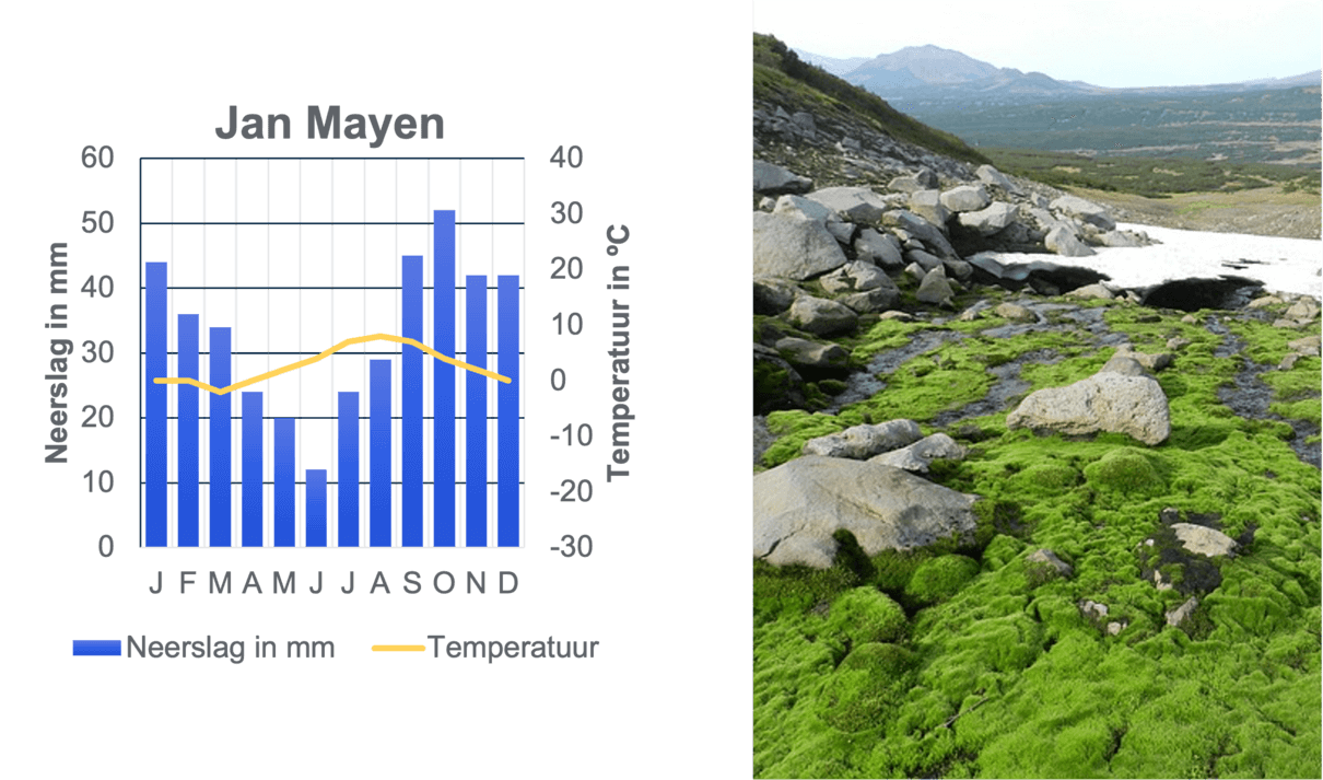 Voorbeeld van een stad en gebied die zich bevinden in een polaire landschapszone