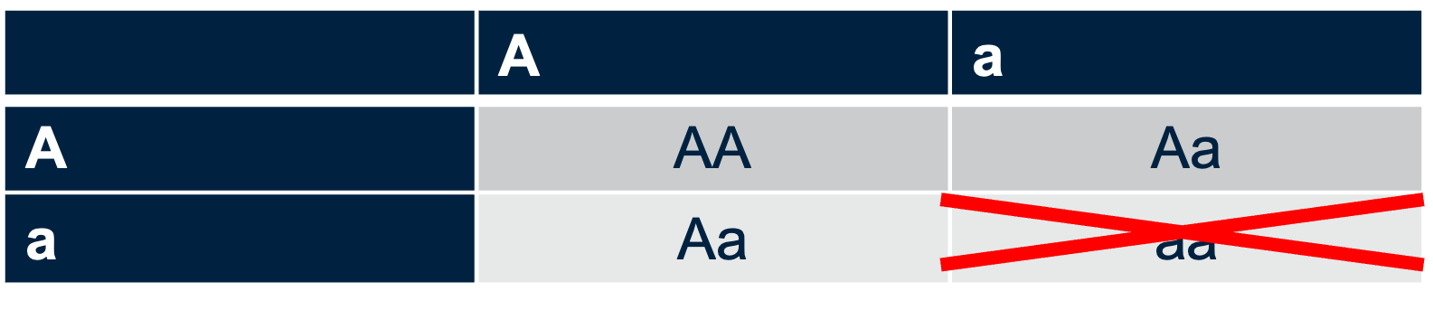 Uitgewerkt kruisingsschema van bovenstaande kruising