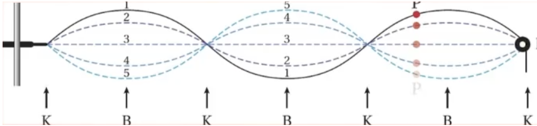 Knopen en buiken bij een snaarinstrument