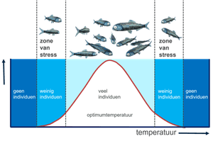 optimumcurve