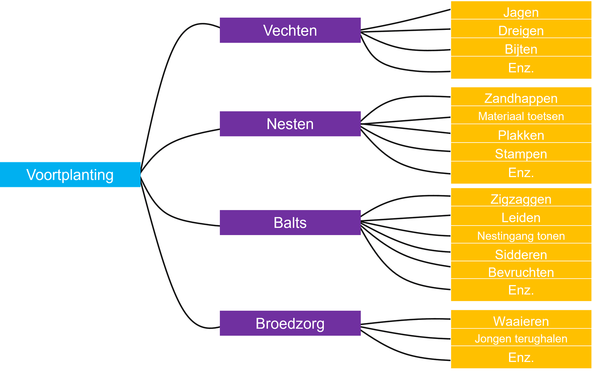 gedragssystemen en subsystemen