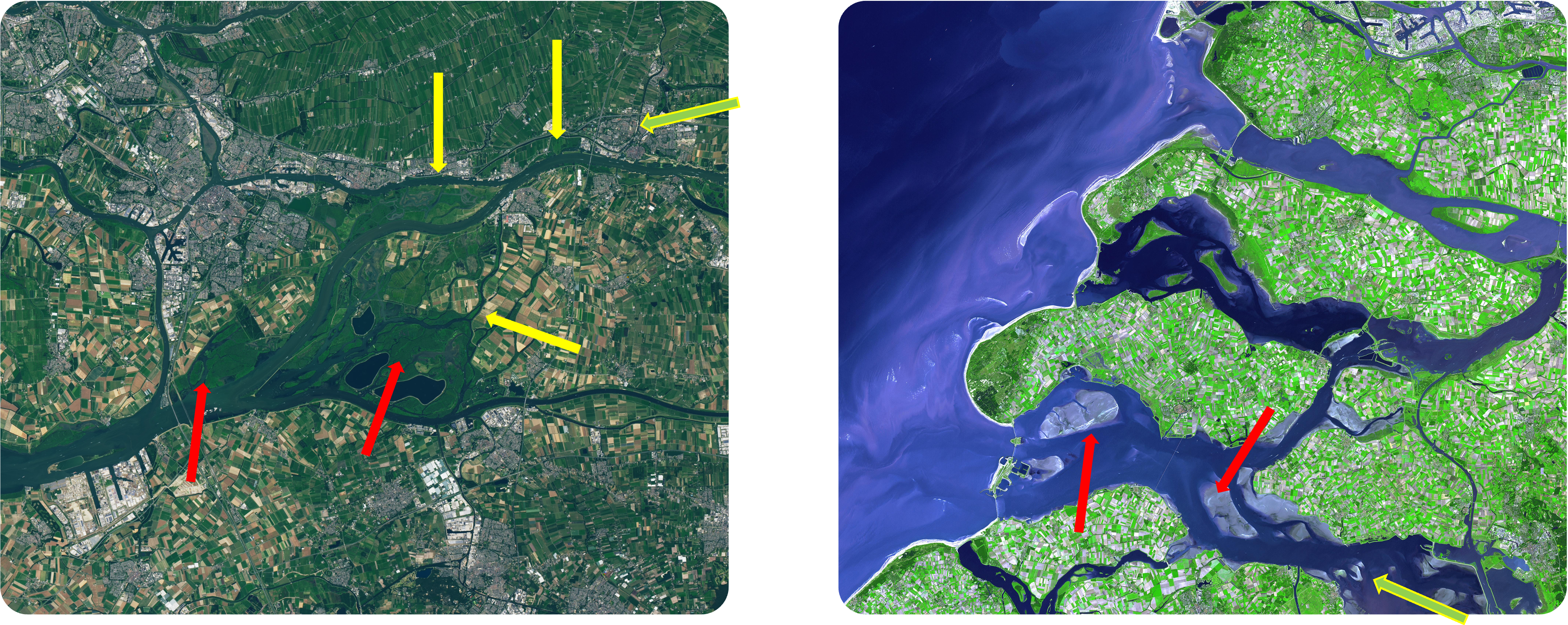 De IJssel en de Biesbosch links en de Westerschelde en de Eems rechts. 