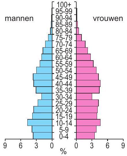 bevolkingsdiagram 3